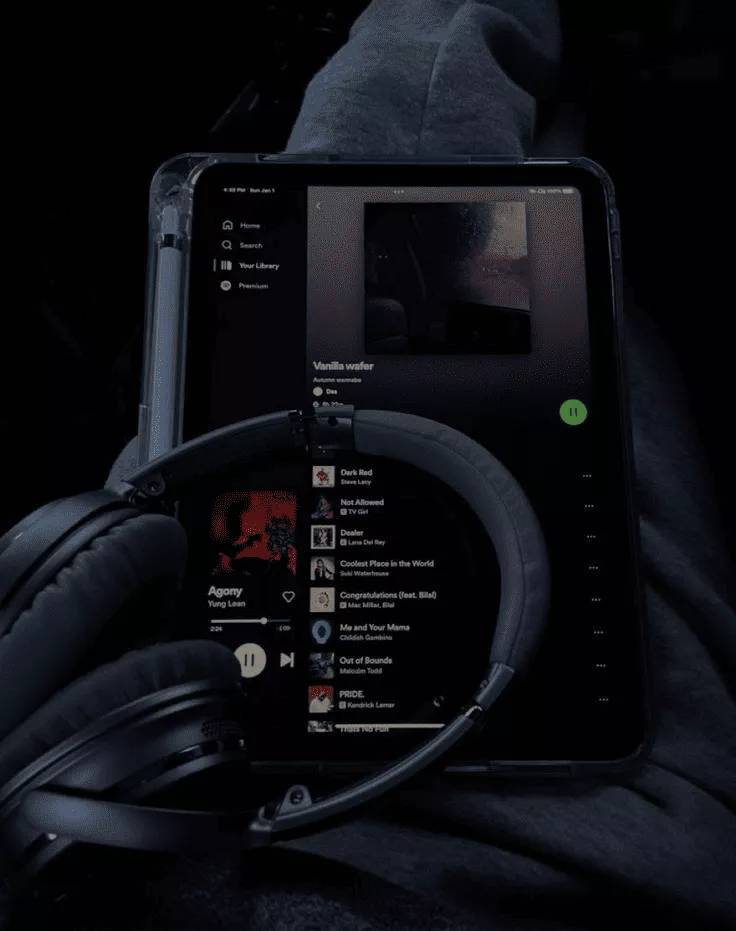 Using music online and on digital platforms